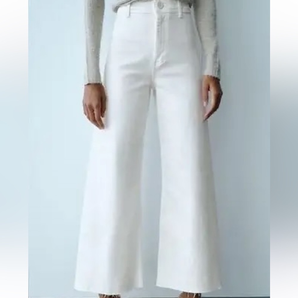 Zara Marine Pants